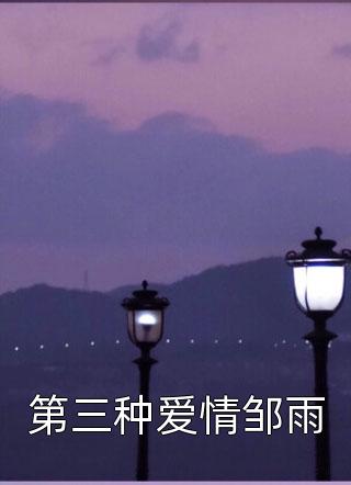 陆太太，陆先生今晚回来过夜畅销小说