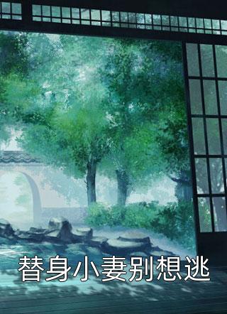 优质全文王雨混子归来